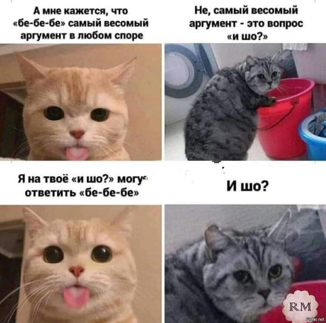 А им шт ити 61 ший иии й щи юм спора я ид поб и шп щит пить мм м пинй шина т шт шо