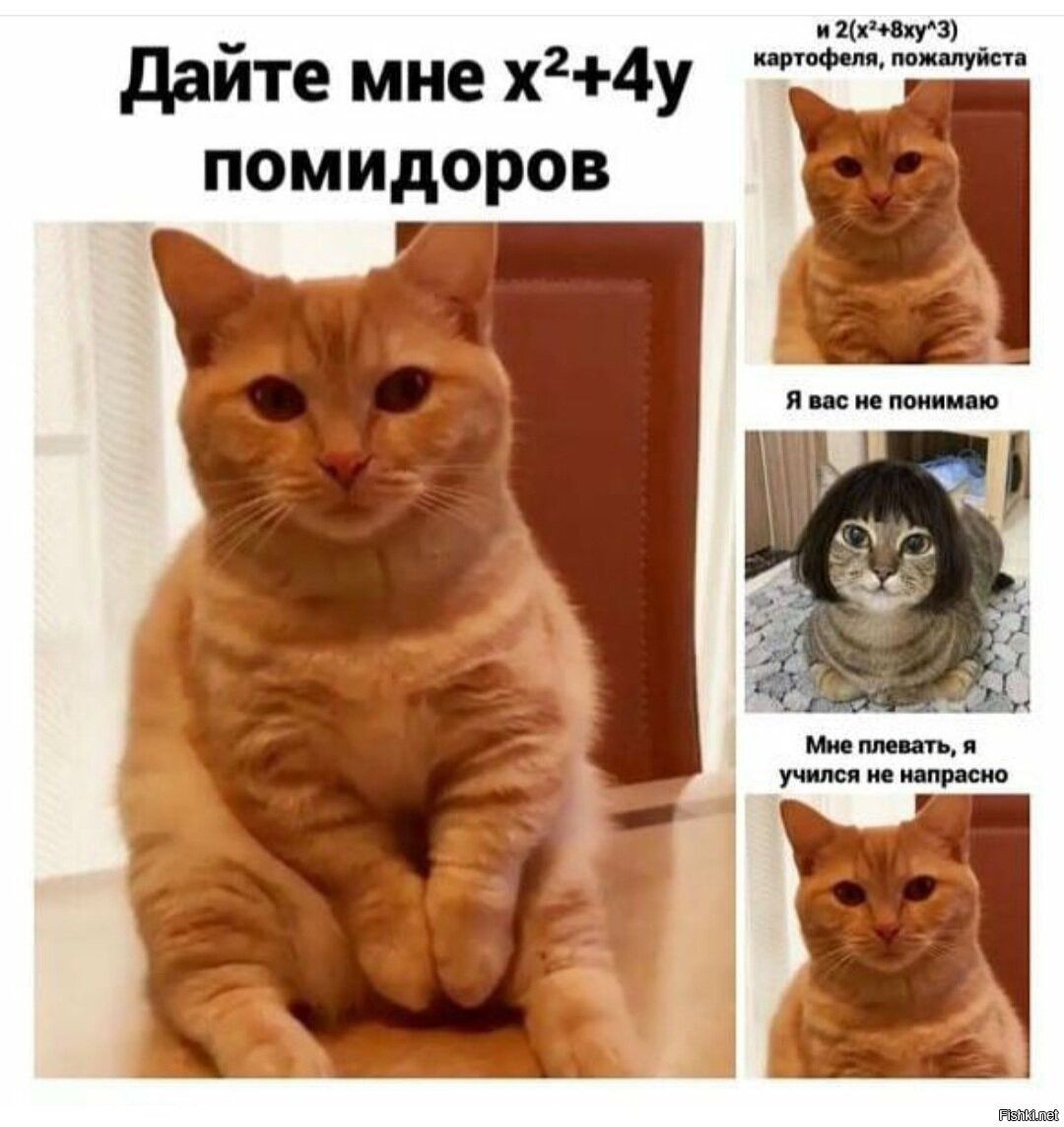 пм гау дайте мне х24у ПОМИДОРОВ