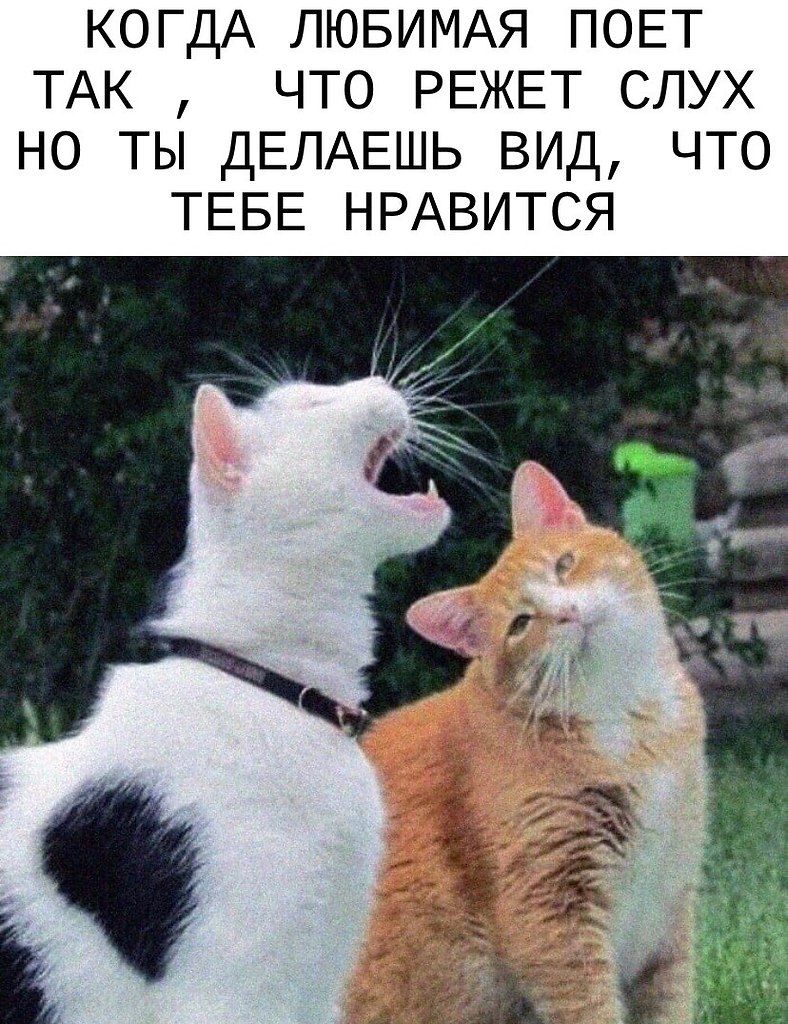 КОГДА ЛЮБИМАЯ ПОЕТ ТАК что РЕЖЕТ слух но ты ДЕЛАЕШЬ вид что ТЕБЕ НРАВИТСЯ