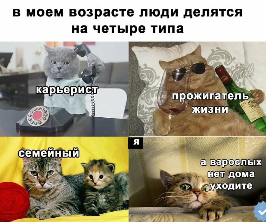 В моем ВОЗРЗСТВ ЛЮДИ дЕПЯТСЯ на четыре типа Гёходите _ __ п