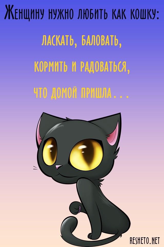 ЖЕНЩИНУ НУЖНО ЛЮБИТЬ КАК КОШКУ МММ РШіМіЮ ЧШ НМШ ШИПОЛП