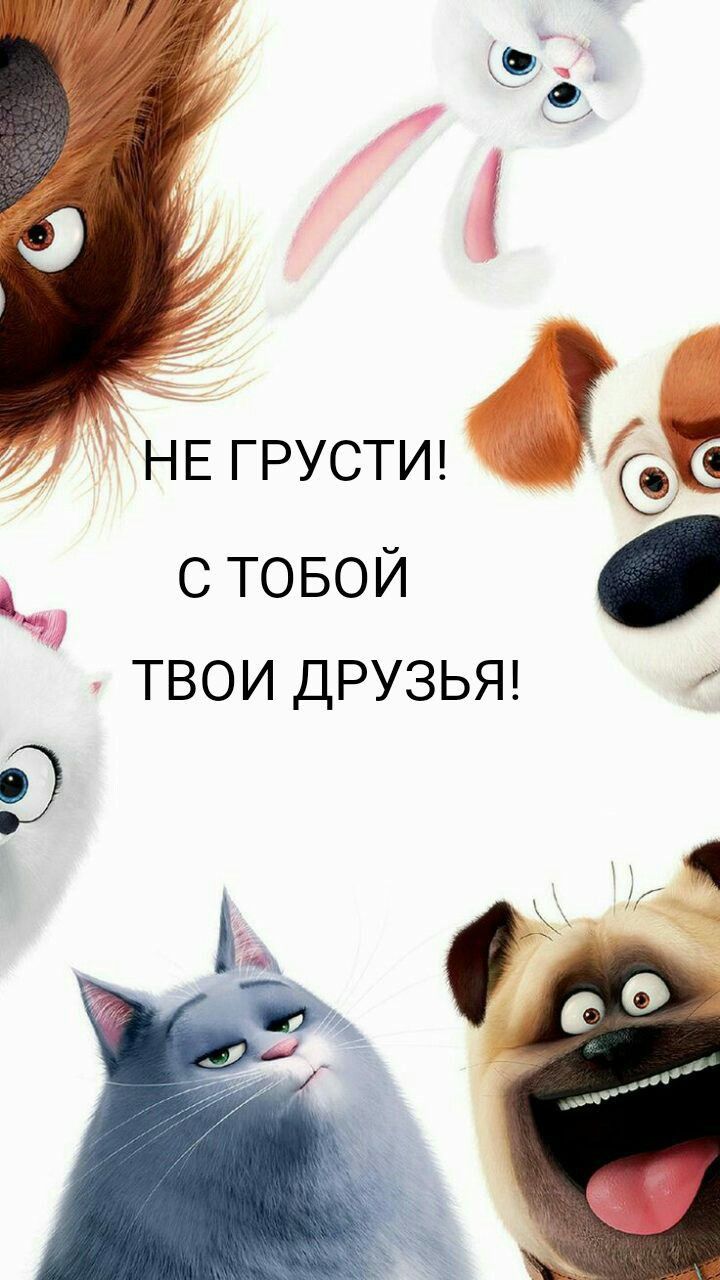 НЕ ГРУСТИ С ТОБОЙ ТВОИ ДРУЗЬЯ