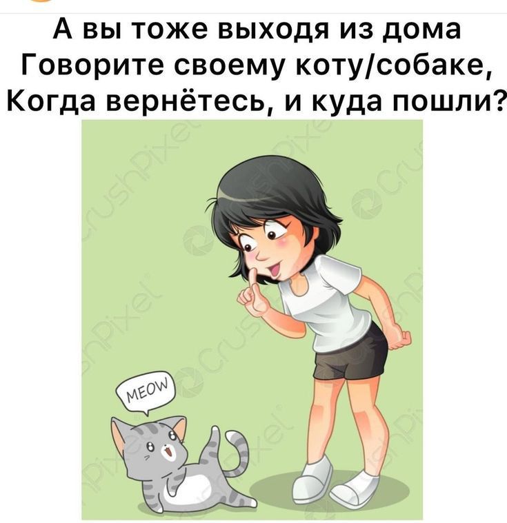 А вы тоже выходя из дома Говорите своему котусобаке Когда вернётесь и куда пошли