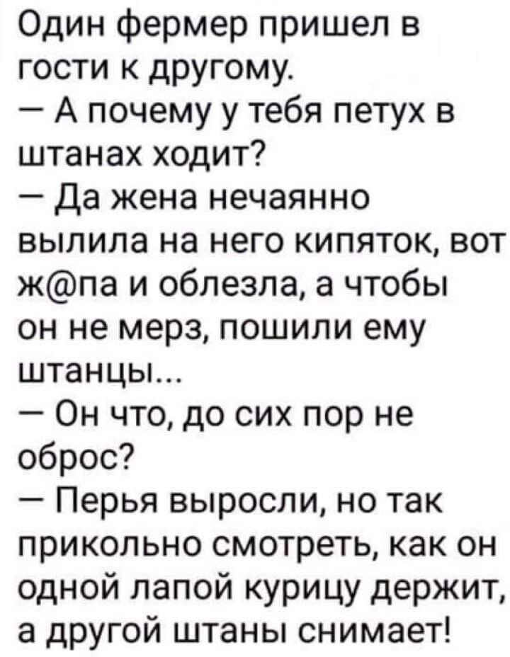 Один фермер пришел в гости к другому А почему у тебя петух в штанах ходит Да жена нечаянно выпила на него кипяток вот жпа и облезла а чтобы он не мерз пошили ему штанцы Он что до сих пор не оброс Перья выросли но так прикольно смотреть как он одной лапой курицу держит а другой штаны снимает