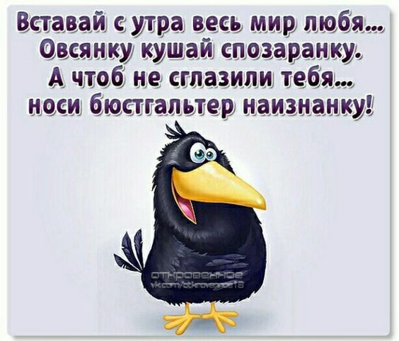 Встав й утра весь мир любя 0 КУЩай 110339311 не СГПЗЗИПИ 1268 ОБИ бюстгальтер наизнанку