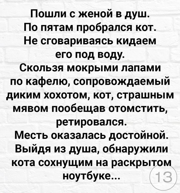 Пошпи с женой в душ По пятам пробрался кот Не сговариваясь кидаем его под воду Скользя мокрыми лапами по кафето сопровождаемый диким хохотом кот страшным мявом пообещав отомстить ретировапся Месть оказалась достойной Выйдя из душа обнаружили кота сохнущим на раскрытом ноутбуке