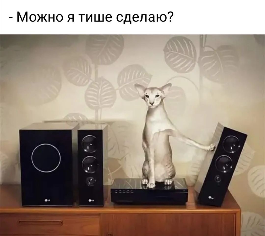 _ Можно я тише сделаю