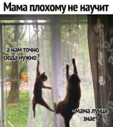 Мама ПЛОХОМУ не научит