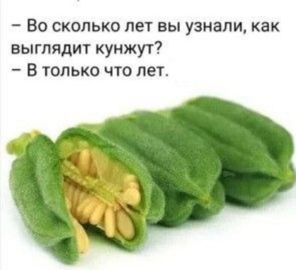 Во сколько лет вы узнали как выглядит кунжут В только что пет