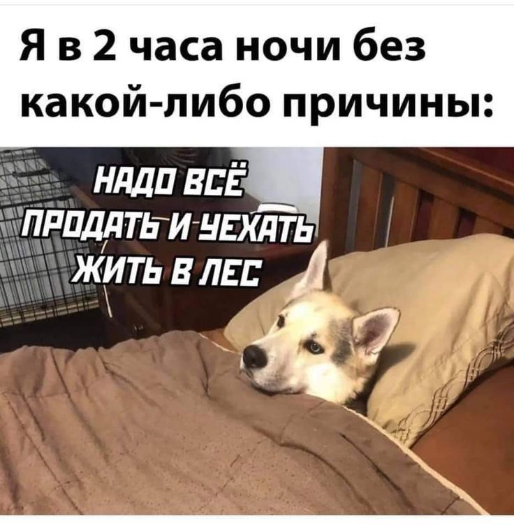 Я в 2 часа ночи без какой либо причины ПРПДДТЕИНЕХПТЬ ЖИТЬ В ЛЕ Е С