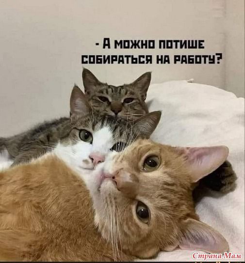 МПЖИП ШШ ППЕИРЯТЬБП НП ШШШ