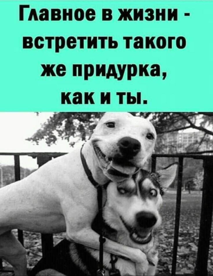 іджпгпгсд БЕТЁПЁЮЁіЁіЁП дащгъ _ ЦЗЕЁЮКЁЪ 135 Ш ГШ