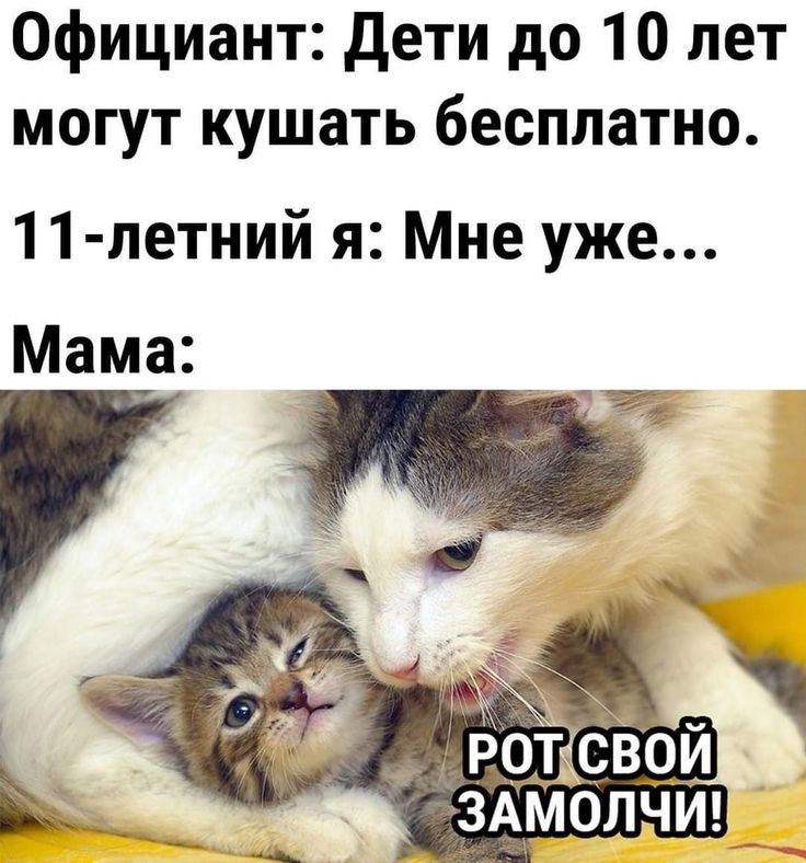 Официант дети до 10 лет могут кушать бесплатно 11 летний я Мне уже