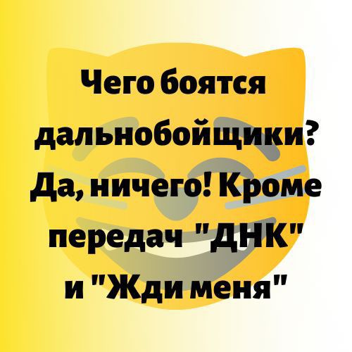 Чего боятся дальнобойщидаш да ничего Кроме передач дНК и Жди меня