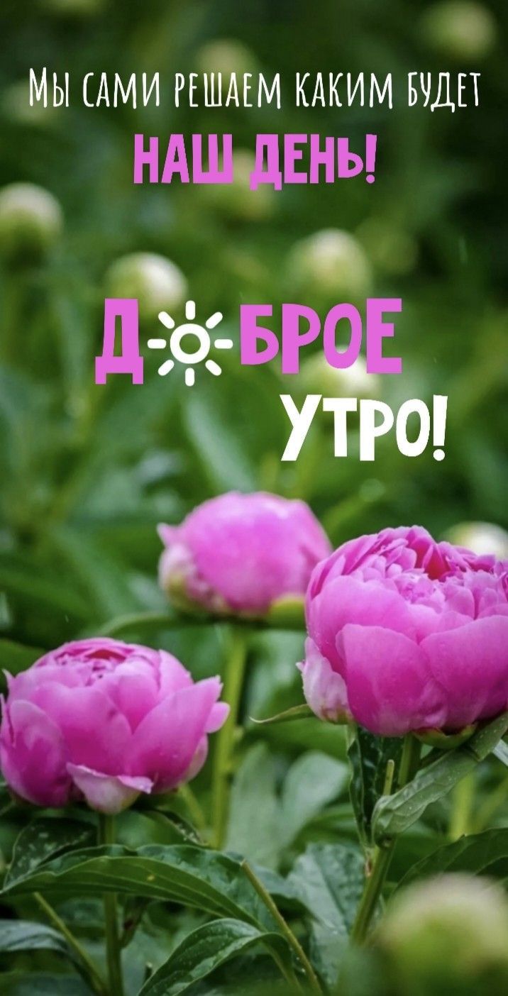 МЫ АМИ РЕШАЕМ КАКИМ БЧДП НАМЕНЪ О 11 2335