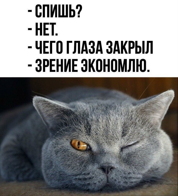 ВПИШЬ НЕТ ЧЕГО ГЛАЗА ЗАКРЫЛ ЗРЕНИЕ ЭКОНОМЛЮ