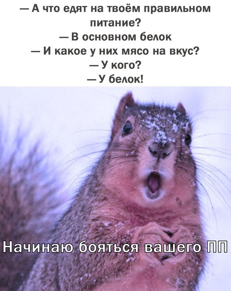А что едят на твоём правмьном питание В основном белок И какое у них мясо на вкус У кого У белок Начиін Ро бояться вашего ПШ