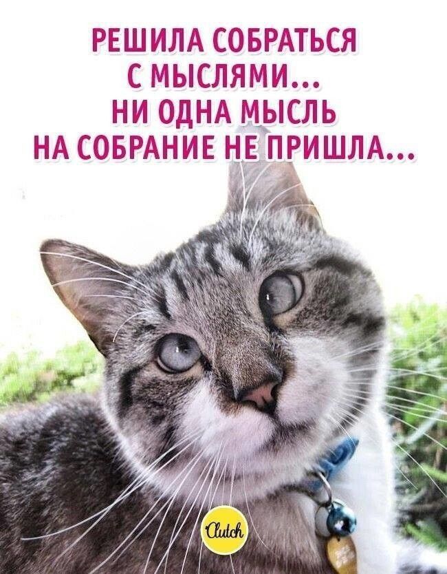 РЕШИЛА СОБРАТЬСЯ С МЫСЛЯМИ НИ ОДНА МЫСЛЬ НА СОБРАНИЕ Н_Е ПРИШЛА