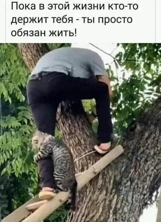 Пока в этой жизни кто то держит тебя ты просто обязан жить