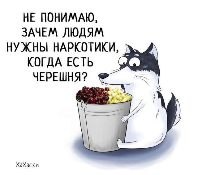 НЕ ПОНИМАЮ ЗАЧЕМ ЛЮДЯМ НУЖНЫ НАРКОТИКИ КОГДА ЕСТЬ _ ЧЕРЕШНЯ ХдХвкки