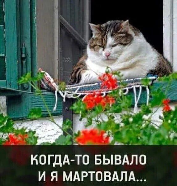 КОГДА ТО БЫВАЛО И Я МАРТОВАЛА
