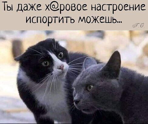 Ты даже хровое настроение испортить можешь о