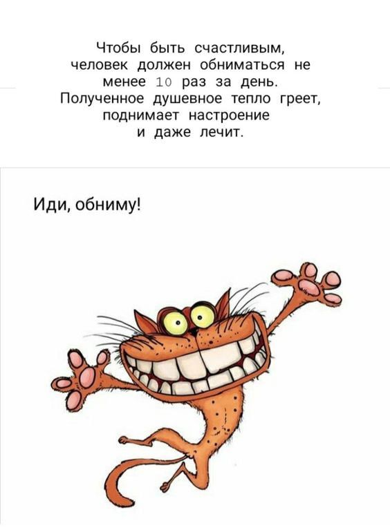 Чюбы Быть счастливым человек должен обиимагься не менее 10 раз за день Полученное душевное тепло греет поднимает настроение и даже лечит Иди обниму