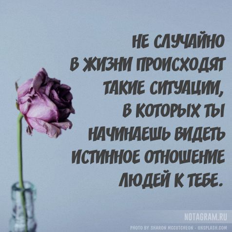 не слито в живем происходят тлкие спешит в котых ты имеешь испмюе отношение людей ктеее