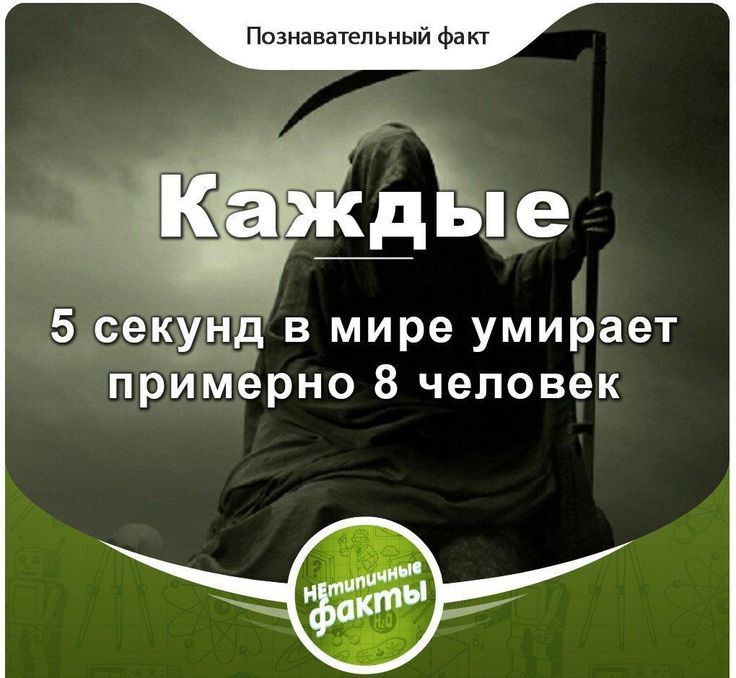 Позиаватепьный Факт 5 сайд 5 в мире умирает примерно 8 человек