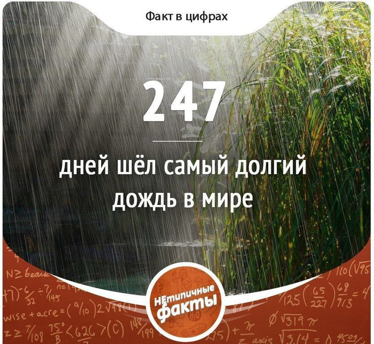 п в цифрах дней шёл самый долгий дождь в мире а