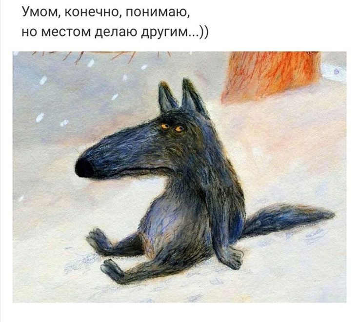 Умом конечно понимаю но местом делаю другим _
