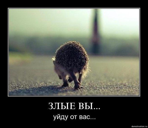 ЗЛЫЕ ВЫ уйду от вас