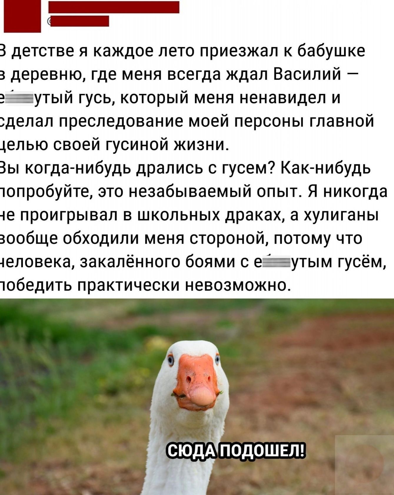 3 детстве я каждое лето приезжал к бабушке деревню где меня всегда ждал Василий утый гусь который меня ненавидел и депап преследование моей персоны главной гепью своей гусиной жизни Вы когданибудь дрались гусем Как нибудь 10пробуйте это незабываемый опыт Я никогда е проигрывал в школьных драках а хулиганы вообще обходили меня стороной потому что человека закапённого боями е юбедить практически нев