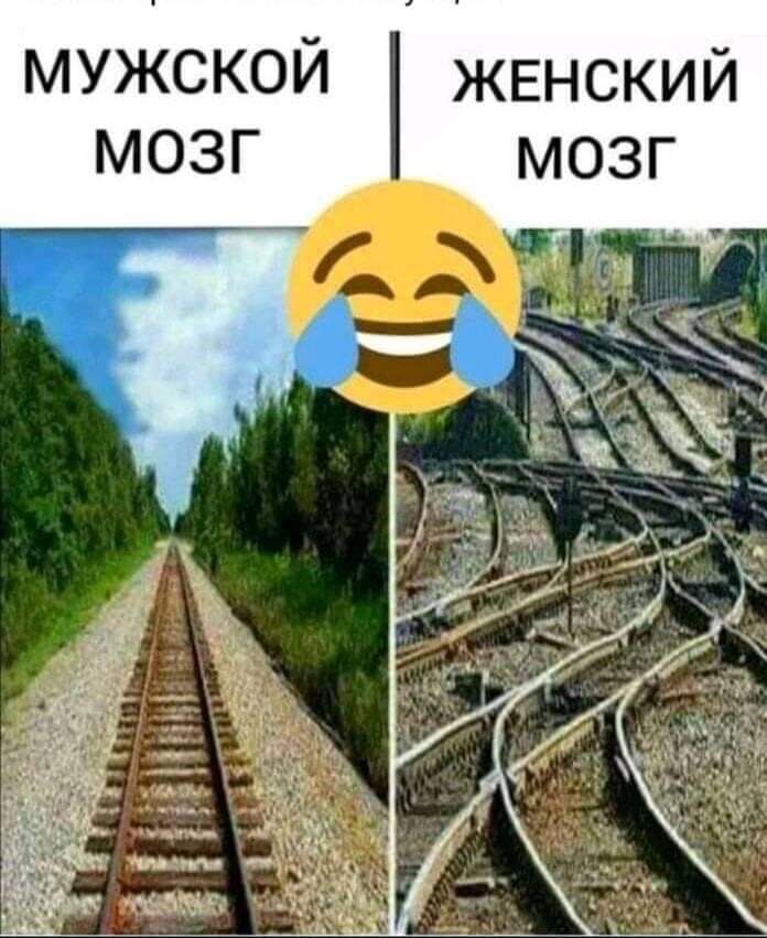 МУЖСКОЙ ЖЕНСКИЙ мозг