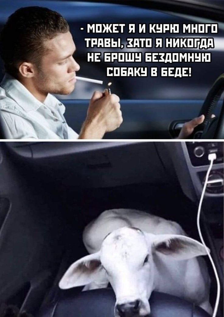 _ мпжт я и кнпш ШЕЙ тпявыщп я никпгкдп нвыпшн Бнкдпмншп паники и ведя