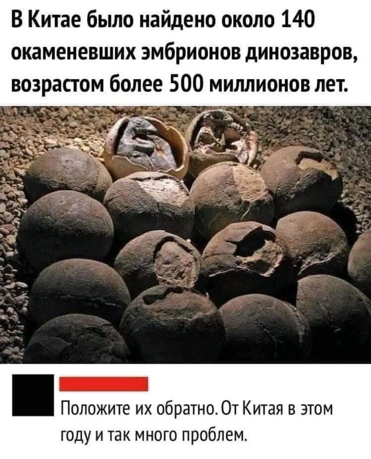 В Китае было найдено около 140 окаменевших эмбрионов динозавров возрастом более 500 миллионов лет _ Положите их обратно От Китая в этом году и так много проблем