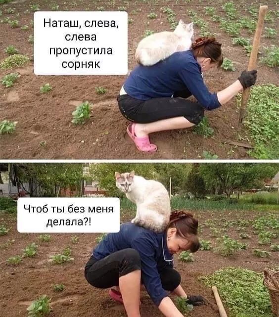 Наташ слева слева пропустила сорняк