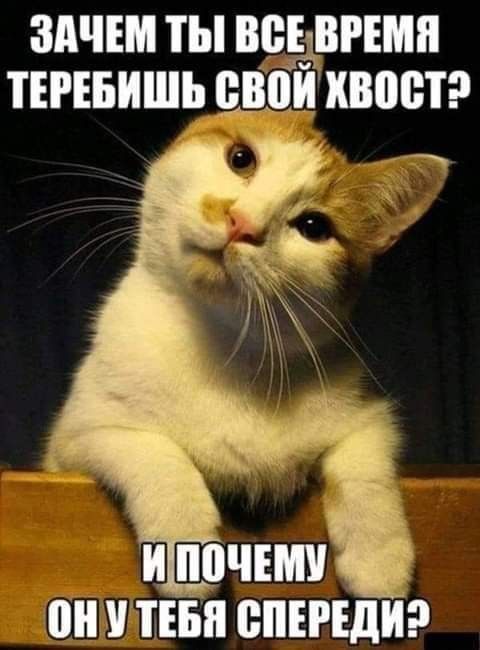 ЗАЧЕМ ТЫ ВВЁВРШП ТЕРЕБИШЪ ШШШХВВШР 0 ПЕБП СПЕРЕДИ
