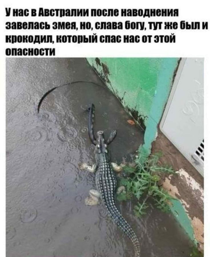 и тиши ти пишиш ними зип но сти пп тп же мы и иии дип тяни от тптй