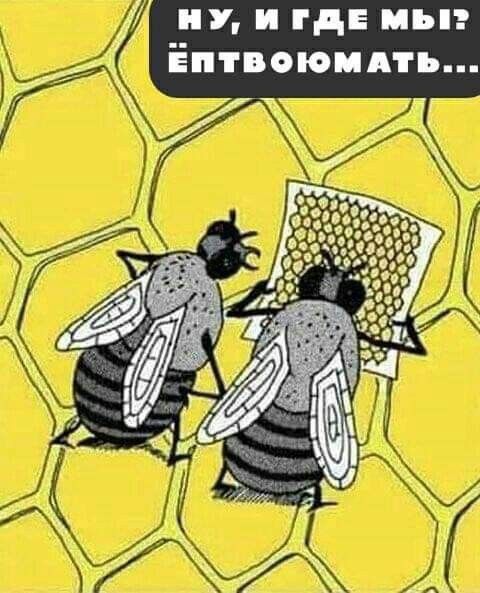 У и где мыэ птвоюидть