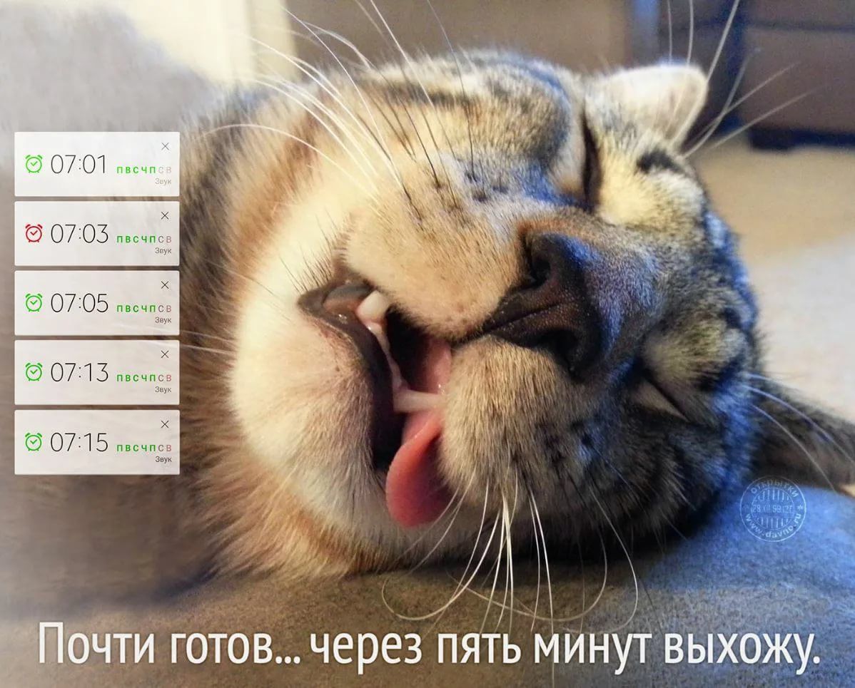 ЬЧТИ готов черезпять минут