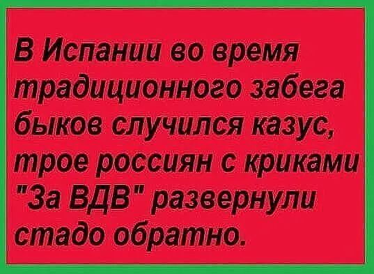 В Испании во время традиционного забега быков случился казус трое россиян с криками За ВДВ_развернули стадо обратно