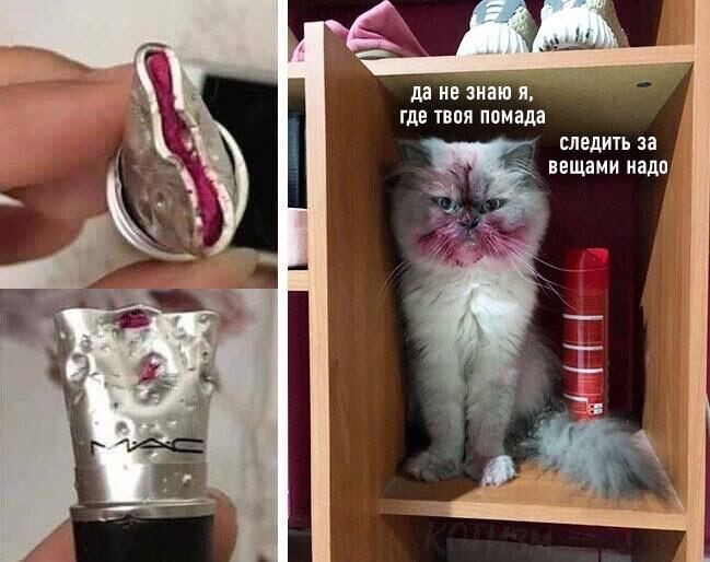 да по ним я ни пил ппиш следил за пщаии иідп