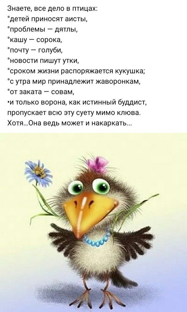 знаете все дело в птицах детей приносят аисты проблемы дятлы кашу сорока почту голуби новости пишут утки сроком жизни распоряжается кукушка с утра мир принадлежит жаворонкам от заката А совем и только ворона как истинный буддист пропускает всю эту суету мимо клюва Хоти0на ведь может и нвкаркать