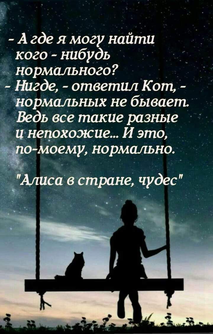 А где я могу найти кого нибудь нормального Нигде ответил Кот нормальных не бывает Ведь все такие разные и нецохожие И это Чио моему нормально Алиса в стране чудес
