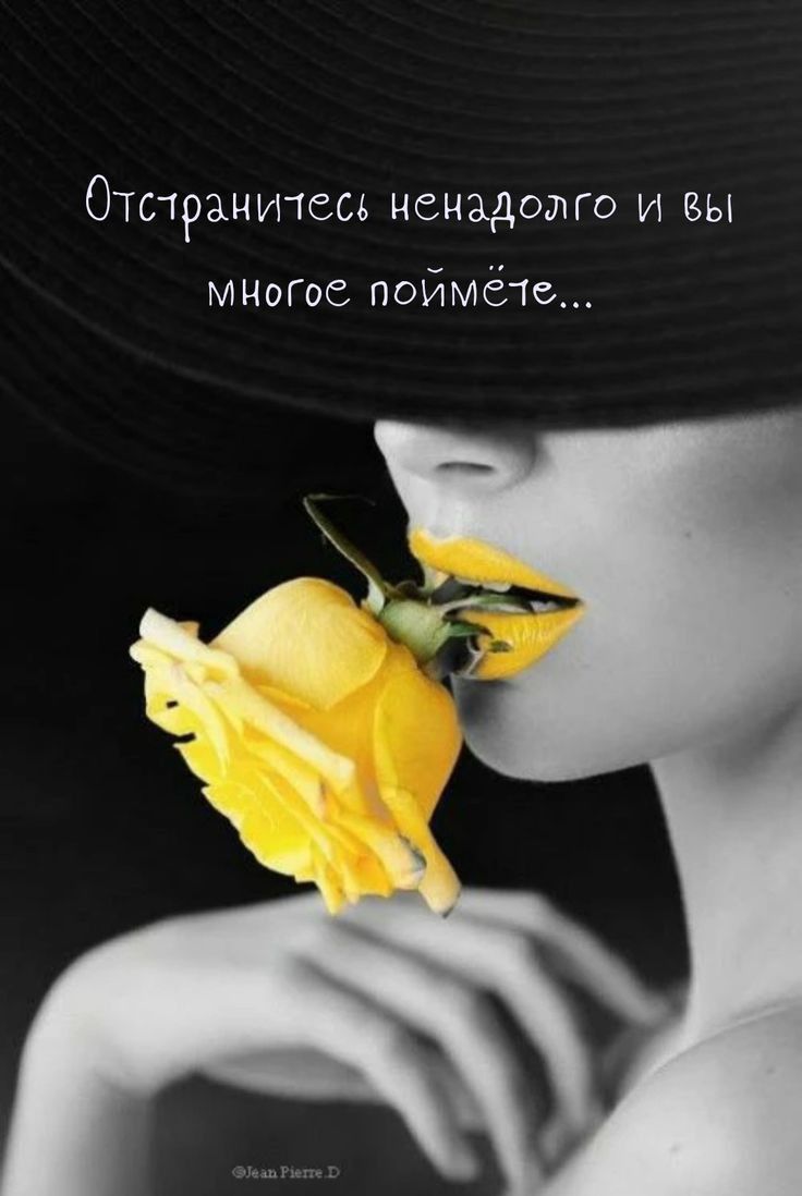 Отсчранитесв ненадотго и вы мноГос поймёт