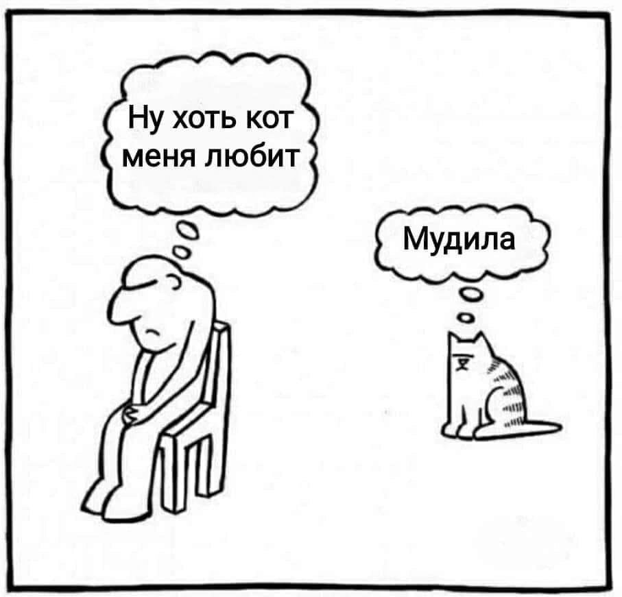 Ну хоть кот меня любит