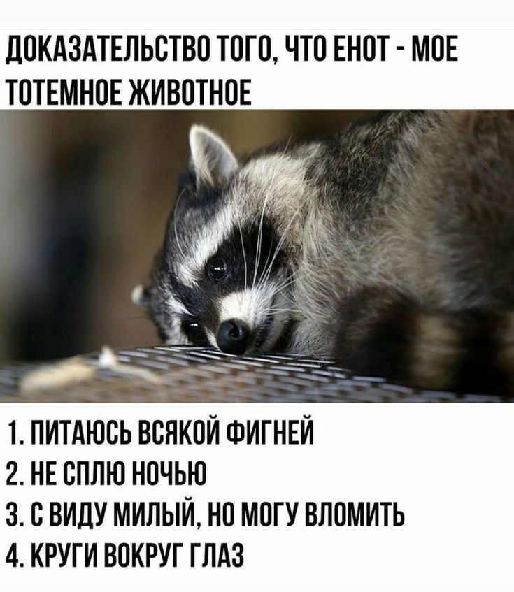 ЛПКАЗАТЕЛЬЕТВП ТПП ЧТО ЕНПТ МПЕ ГОТЕМНПЕ ЖИВПТНПЕ 1 ПИТАЮСЬ ВБЯКПЙ ФИГНЕЙ 2 НЕ СПЛЮ НПЧЬЮ 3 С ВИДУ МИЛЫЙ НП МПГУ ВППМИТЬ 4 КРУГИ ВОКРУГ ГЛАЗ