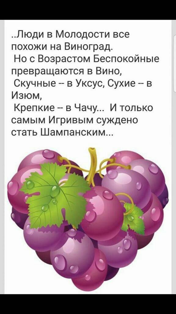 Люди в Молодости все похожи на Виноград Но с Возрастом Беспокойные превращаются в Вино Скучные в Уксус Сухие в Изюм Крепкие в Чачу И только самым Игривым суждено стать Шампанским