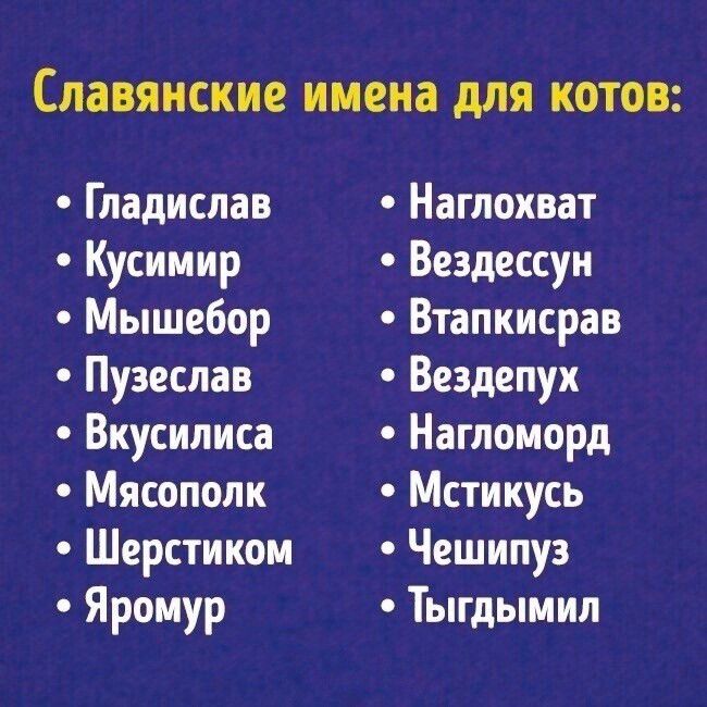 Славянские имена для КОТОВ Гладиспав Кусииир Мышебор Пузеслав Вкусиписа Мясопопк Шерстикои Яроиур Наглохват Вездессуи Втапкисрав Вездепух Нагломорд Мстикусь Чешипуз Тыгдымил